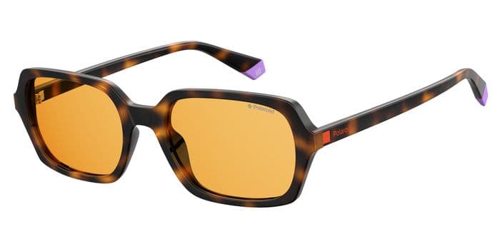 Polaroid 6089/S designer frame in colour Havana